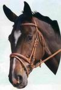 Obrazek