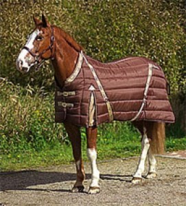 Obrazek